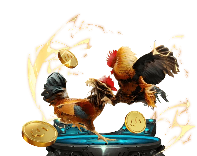 Cá cược bóng đá w88 vt